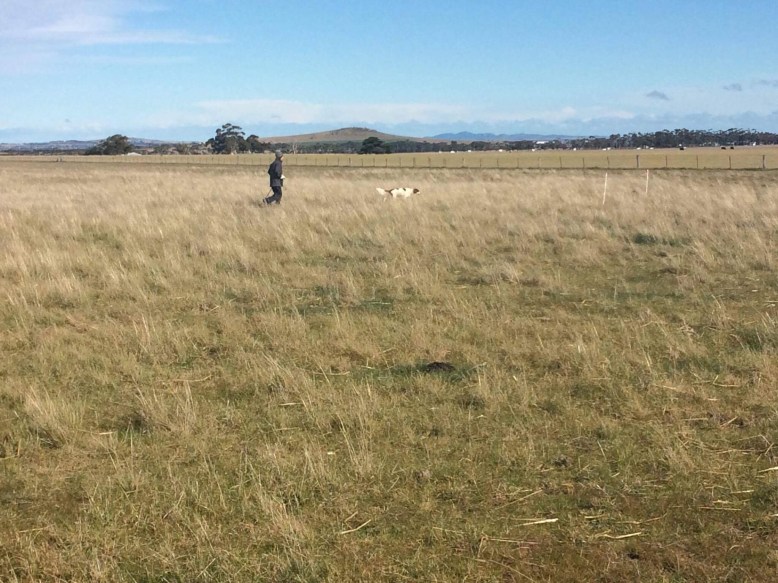 Photo 9-8-17, 8 51 42 am