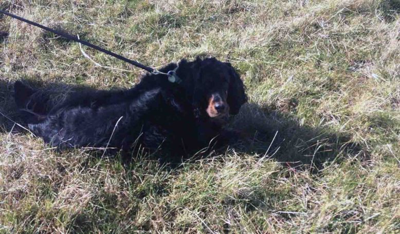 Photo 9-8-17, 8 51 48 am