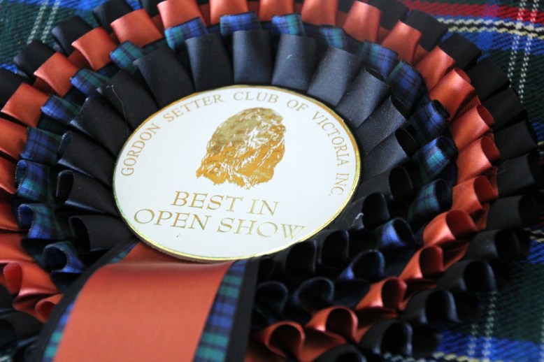 Best in Open Show High Res