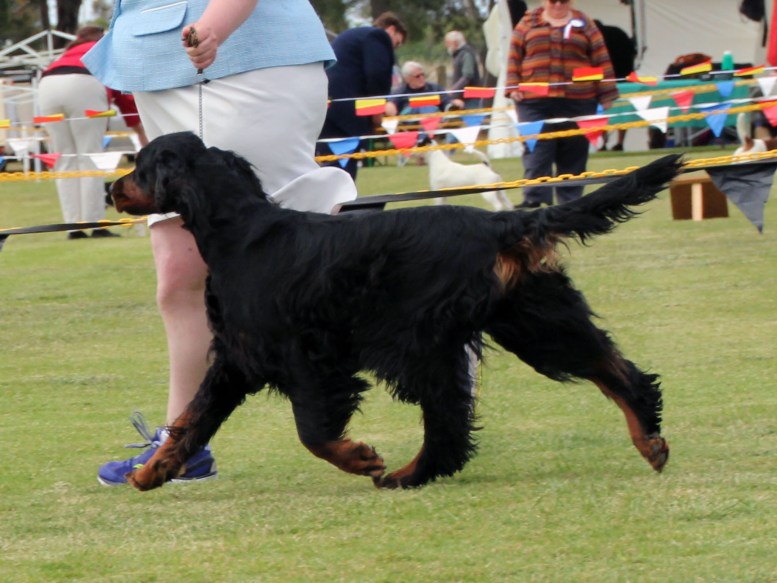 Betty on the move best opp intermediate in Show 1&amp;2 High Res