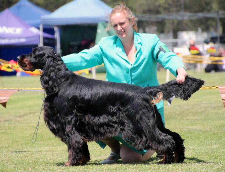 Jamie Runner up Best in Show 1 High Res