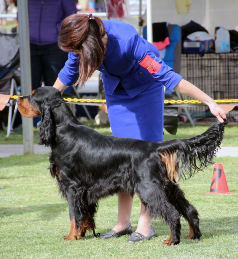 Jimmy Best Junior in Show High Res