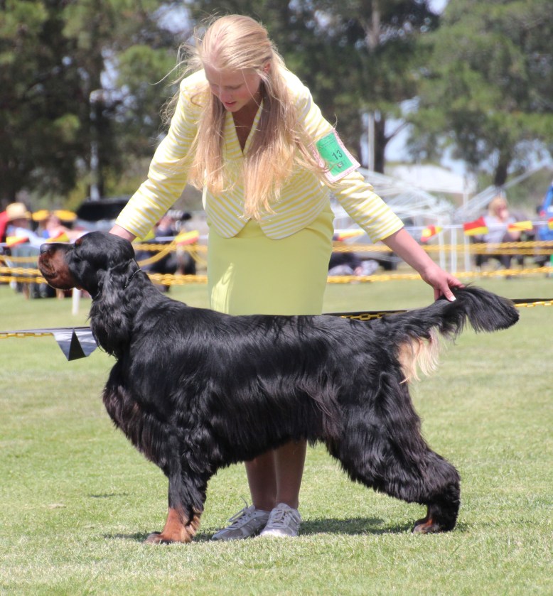 Norm Best in Show 1 high res