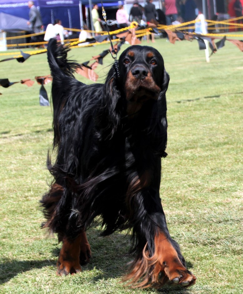 Rider head shot on the move High Res