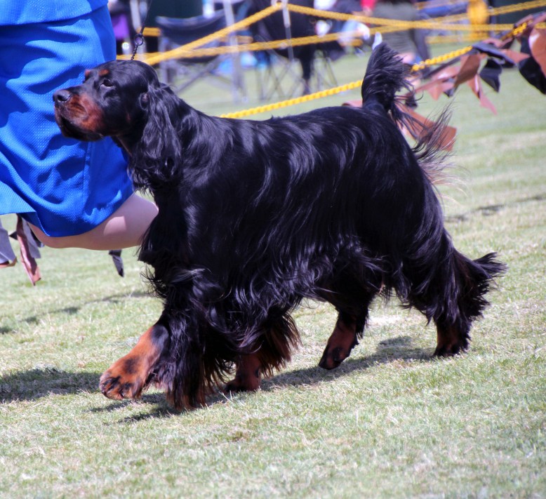 Rider on the move High Res