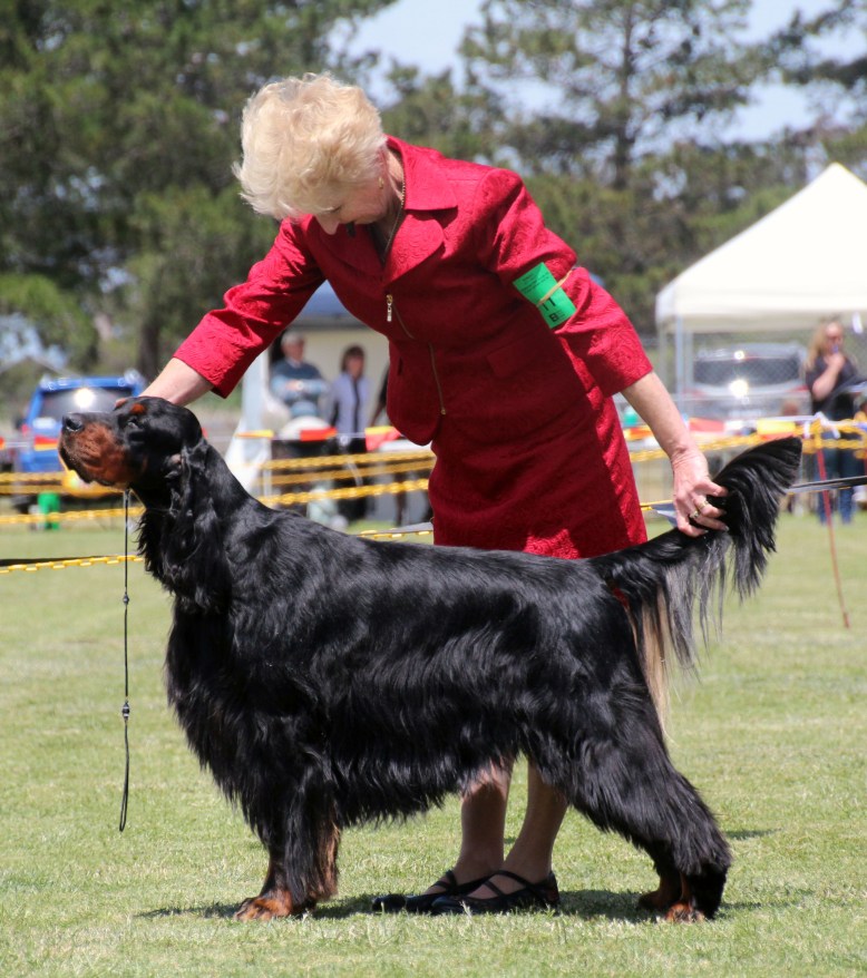 Seal Best in Show 2 High Res